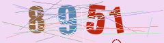 CAPTCHA validation image