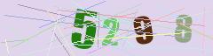 CAPTCHA validation image
