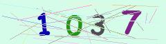 CAPTCHA validation image