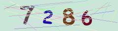 CAPTCHA validation image
