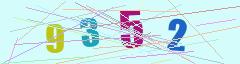 CAPTCHA validation image