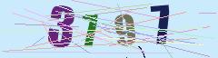 CAPTCHA validation image