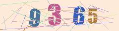CAPTCHA validation image