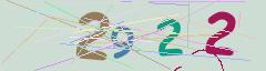 CAPTCHA validation image