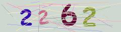 CAPTCHA validation image