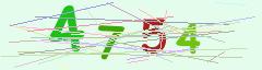 CAPTCHA validation image