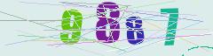 CAPTCHA validation image