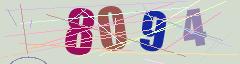 CAPTCHA validation image