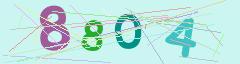 CAPTCHA validation image