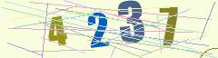 CAPTCHA validation image