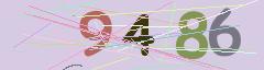 CAPTCHA validation image