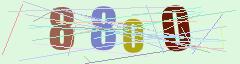 CAPTCHA validation image