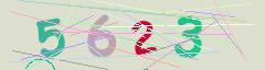 CAPTCHA validation image