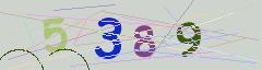 CAPTCHA validation image