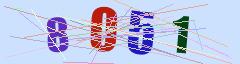 CAPTCHA validation image