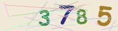 CAPTCHA validation image