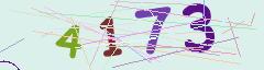 CAPTCHA validation image