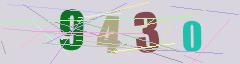 CAPTCHA validation image
