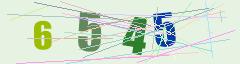 CAPTCHA validation image
