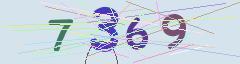 CAPTCHA validation image