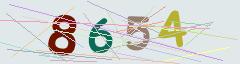 CAPTCHA validation image
