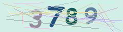 CAPTCHA validation image