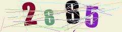 CAPTCHA validation image