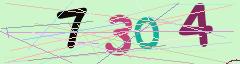 CAPTCHA validation image