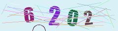 CAPTCHA validation image