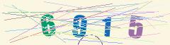 CAPTCHA validation image