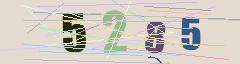 CAPTCHA validation image