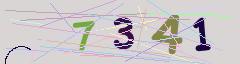 CAPTCHA validation image
