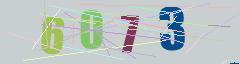 CAPTCHA validation image