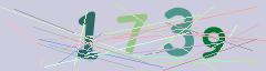 CAPTCHA validation image