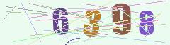 CAPTCHA validation image