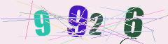 CAPTCHA validation image