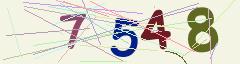 CAPTCHA validation image