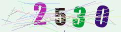 CAPTCHA validation image