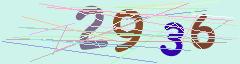 CAPTCHA validation image