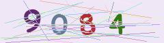CAPTCHA validation image