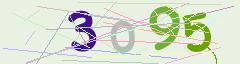 CAPTCHA validation image