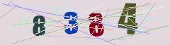 CAPTCHA validation image