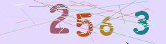 CAPTCHA validation image