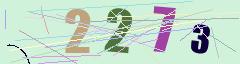 CAPTCHA validation image
