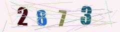 CAPTCHA validation image
