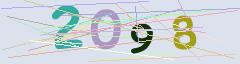CAPTCHA validation image