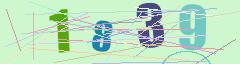 CAPTCHA validation image