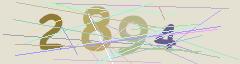 CAPTCHA validation image