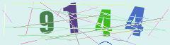 CAPTCHA validation image