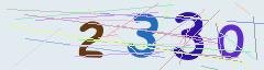 CAPTCHA validation image